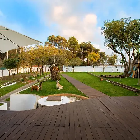 호스텔 Gaia Surf House 빌라노바데가이아